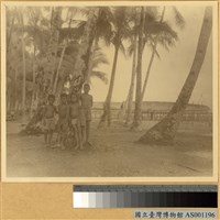 藏品(新幾內亞海岸部落四名男童)的圖片